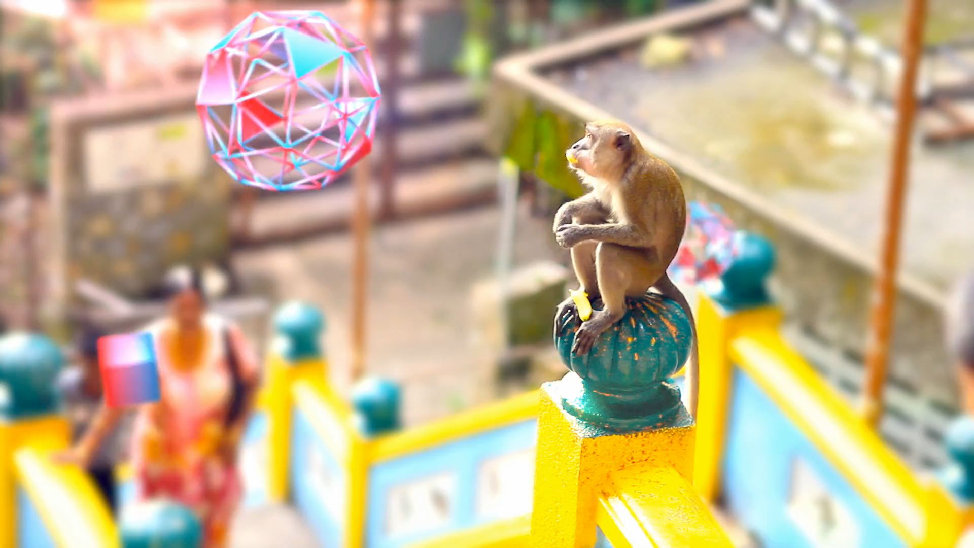 Live-action monkey looking at motion graphics flying past
