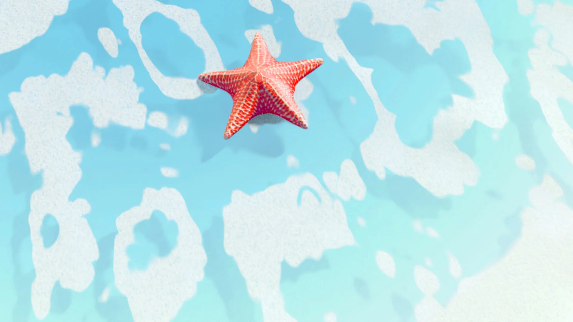 Starfish wave transition, water simulation