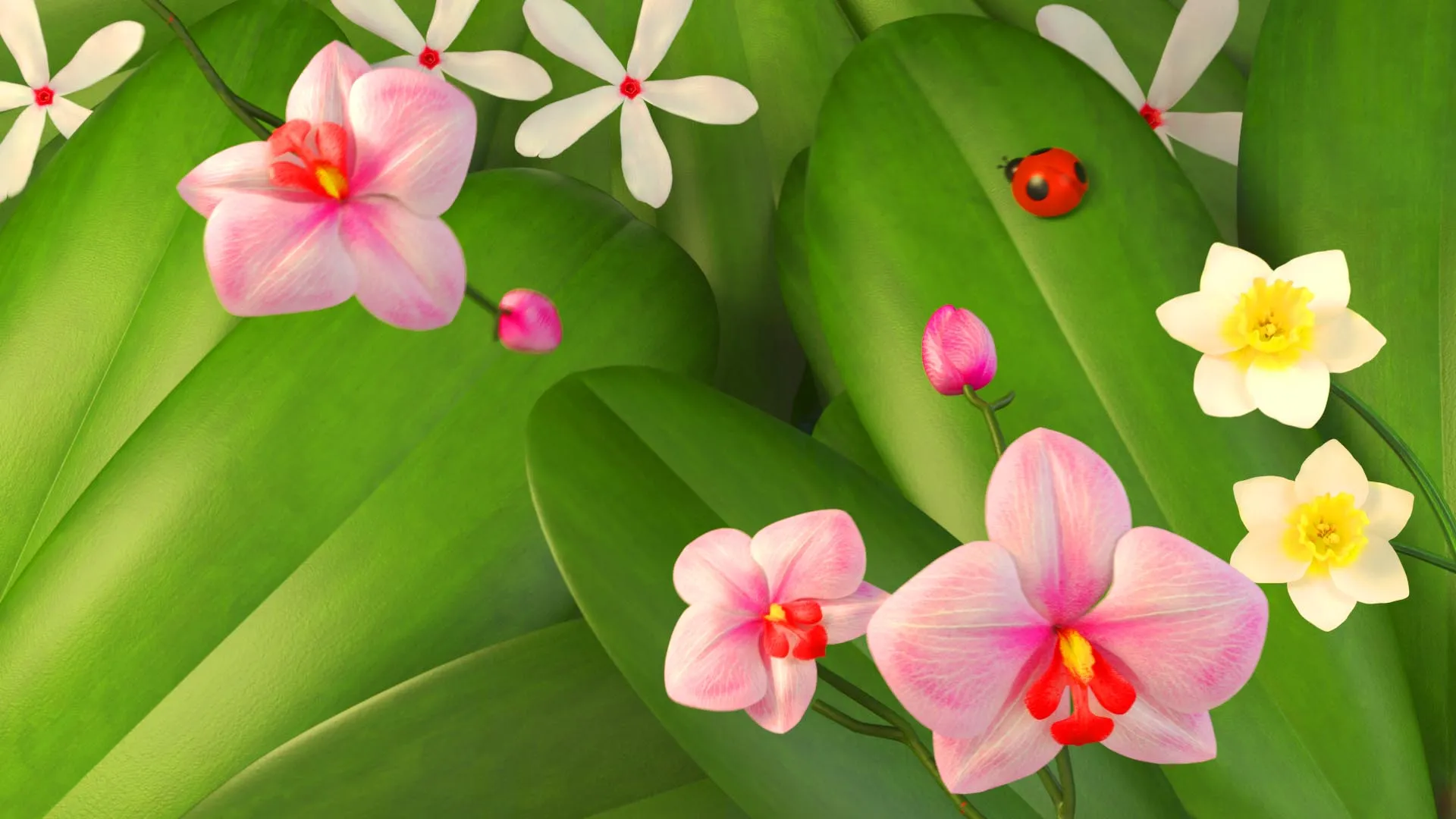 Plants 3D transition