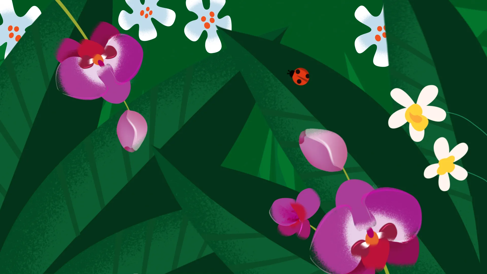 2D animated plant transition