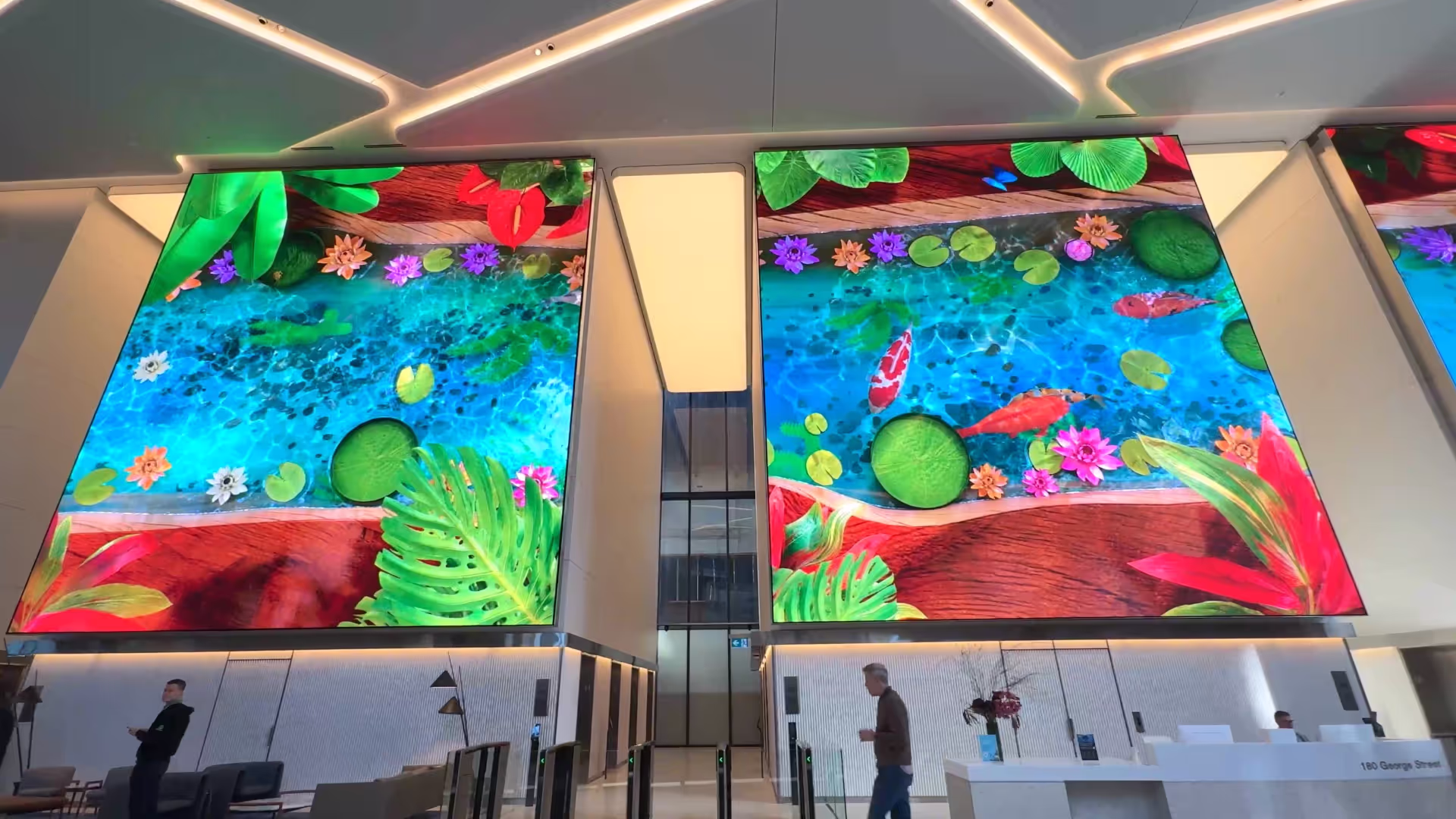 Astro doing yoga in living room